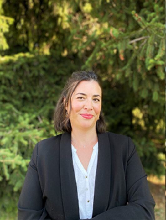 Julie Desmet